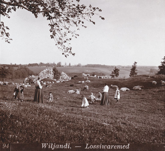 Lambad Viljandi lossimägedes u 1910. Jaan Rieti stereofoto.
